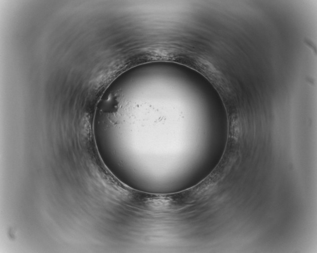 X0000100890318200807011203