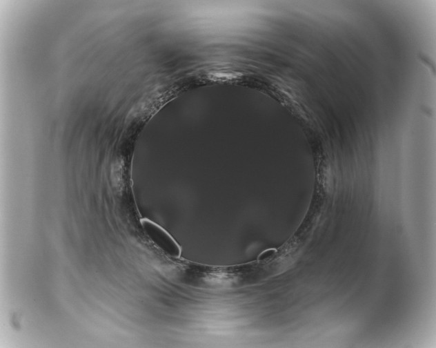 X0000100890319200807011203