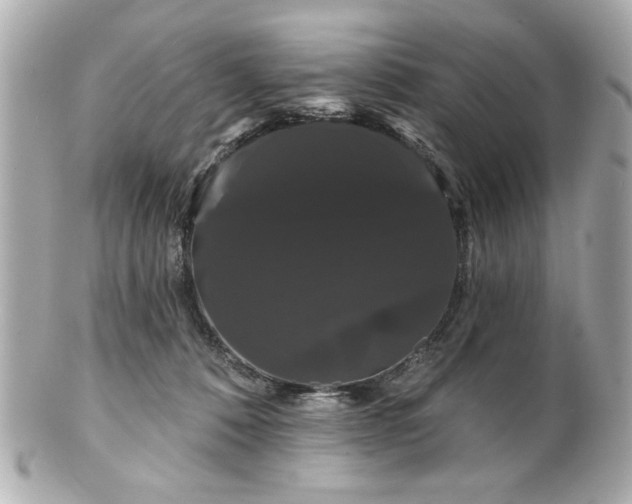X0000100890320200807011203