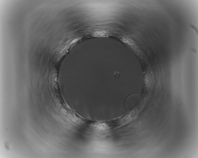 X0000100890322200807011203