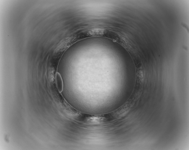 X0000100890323200807011203