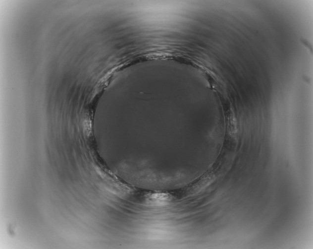 X0000100890324200807011203