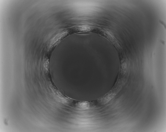 X0000100890325200807011203