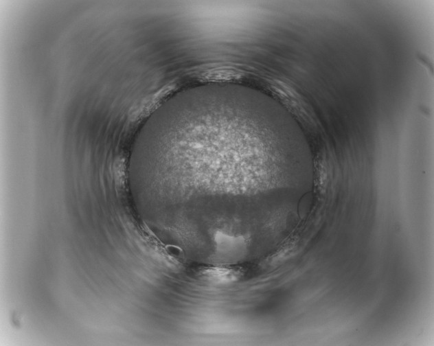 X0000100890326200807011203