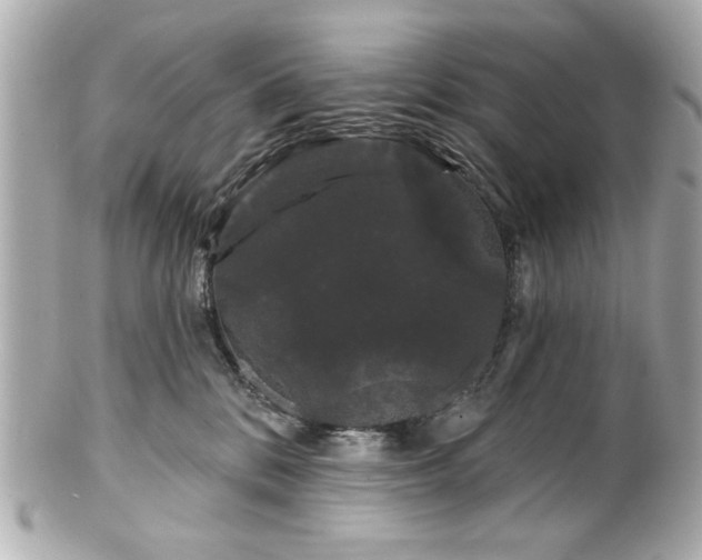 X0000100890328200807011203