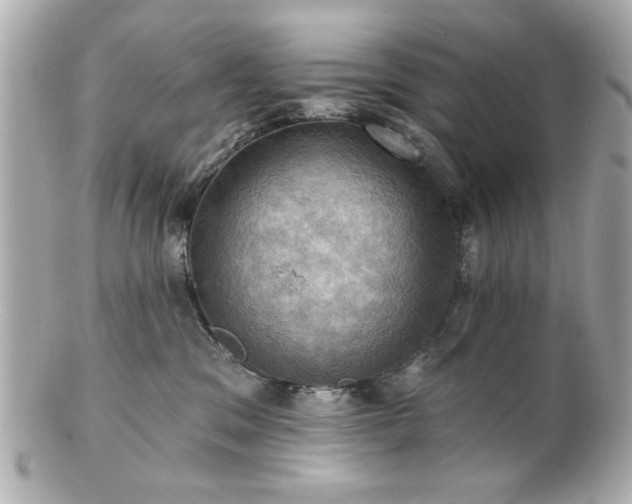 X0000100890329200807011203