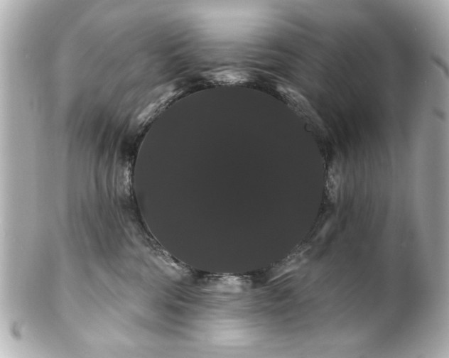 X0000100890330200807011203