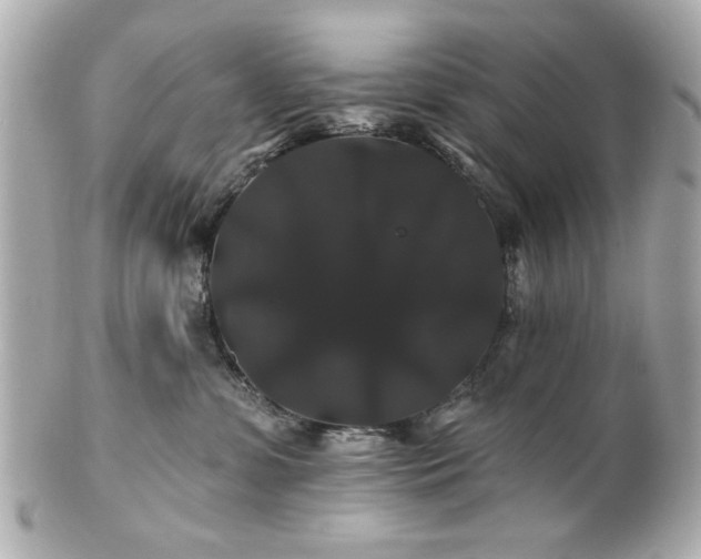 X0000100890331200807011203