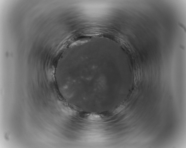 X0000100890332200807011203
