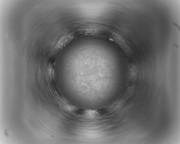 X0000100890333200807011203