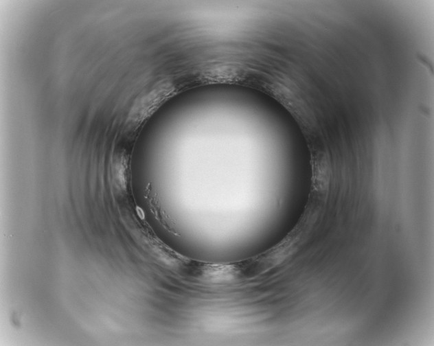 X0000100890334200807011203