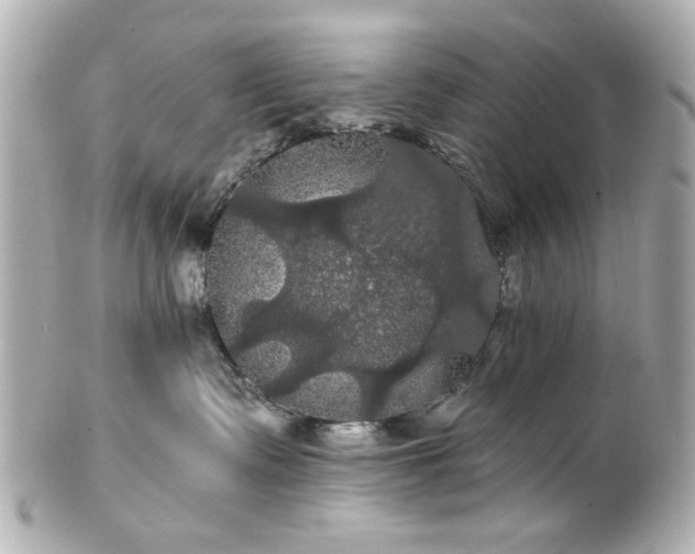 X0000100890335200807011203