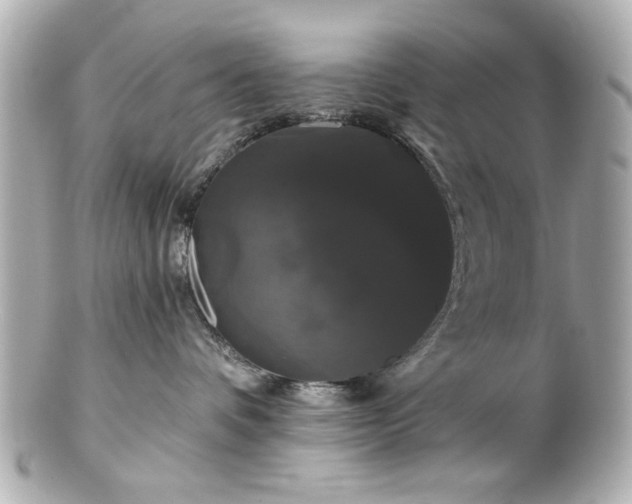 X0000100890336200807011203