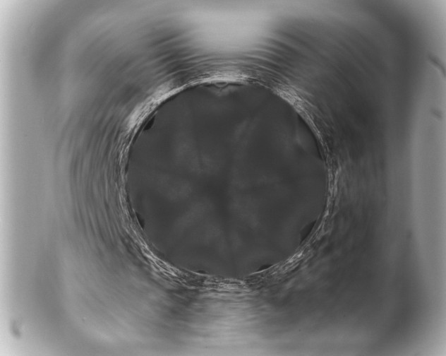 X0000100890337200807011202