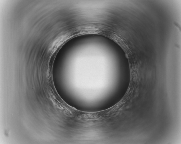 X0000100890338200807011202