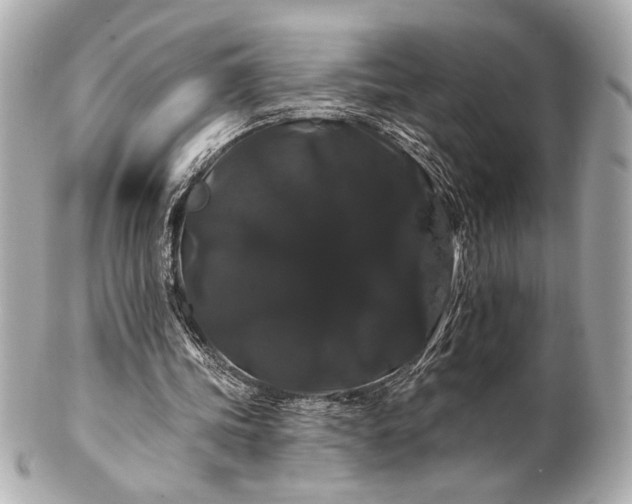 X0000100890339200807011202