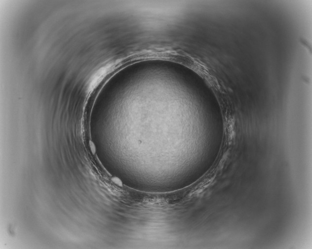 X0000100890340200807011202