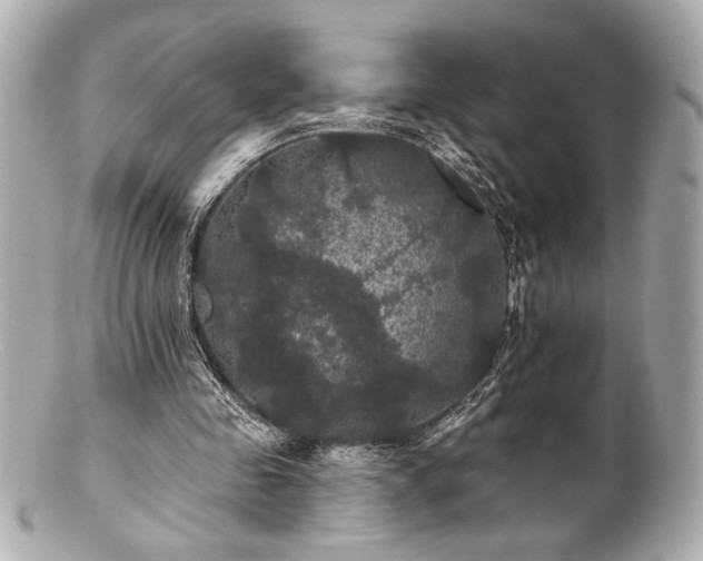 X0000100890341200807011202