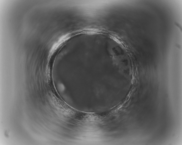 X0000100890343200807011202