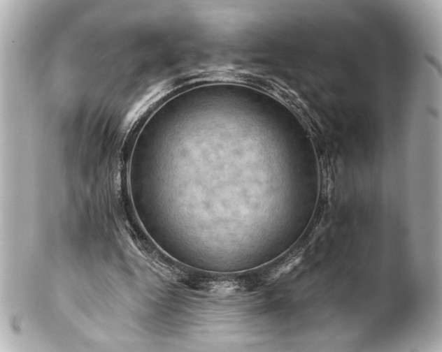 X0000100890344200807011202