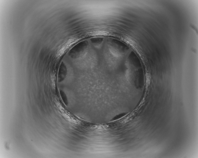 X0000100890345200807011202