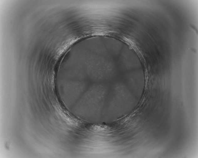 X0000100890346200807011202