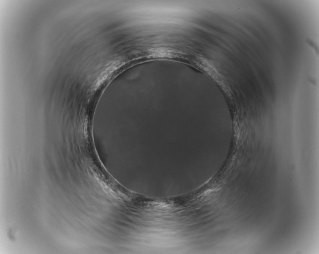 X0000100890347200807011202