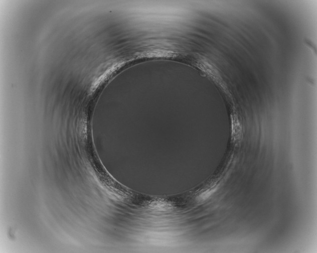 X0000100890348200807011202
