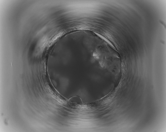 X0000100890349200807011202