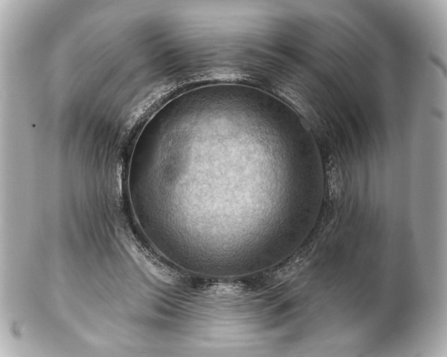 X0000100890350200807011202