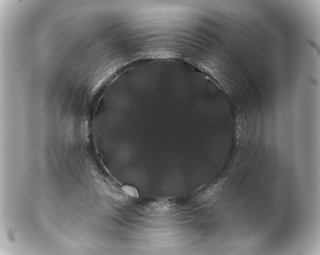 X0000100890351200807011202