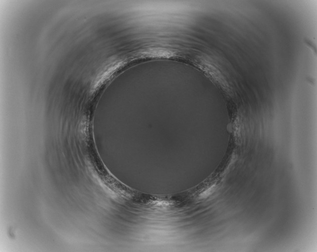 X0000100890352200807011202