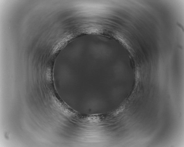 X0000100890353200807011202