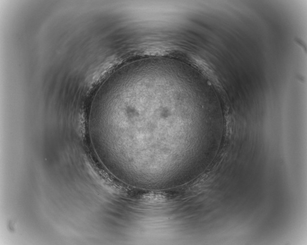 X0000100890354200807011202