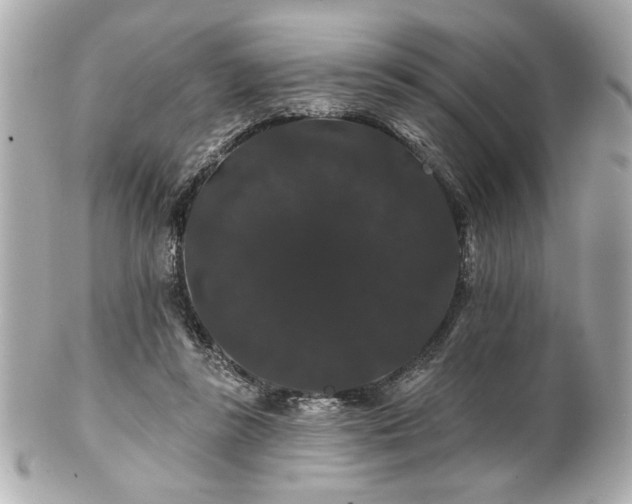 X0000100890355200807011202