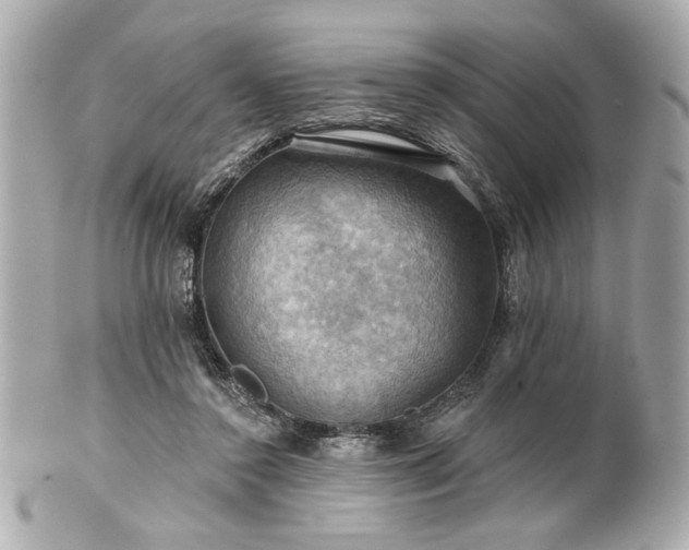 X0000100890356200807011202
