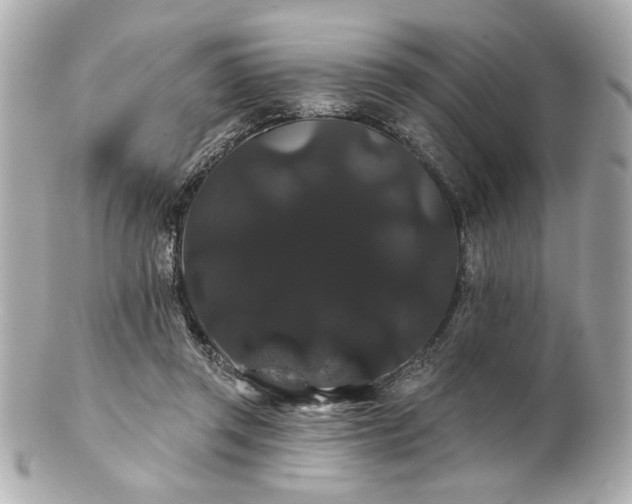 X0000100890357200807011202