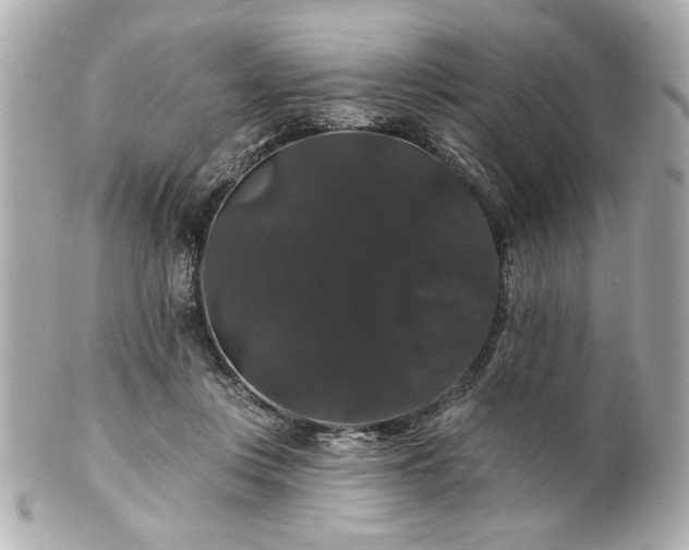 X0000100890359200807011202