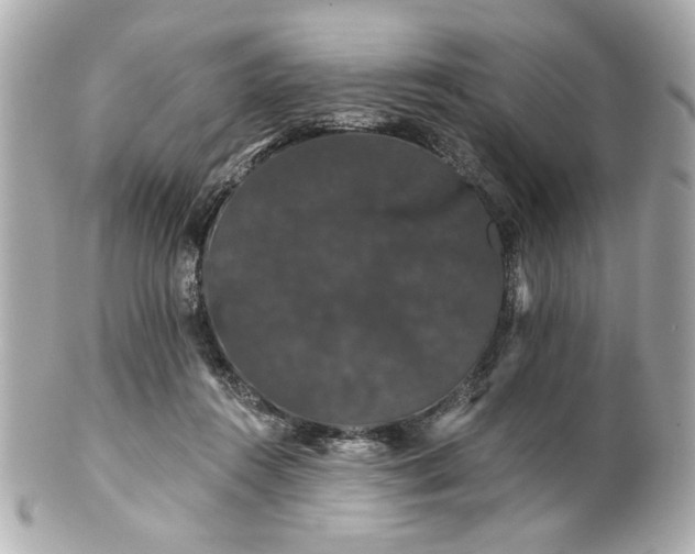 X0000100890360200807011202