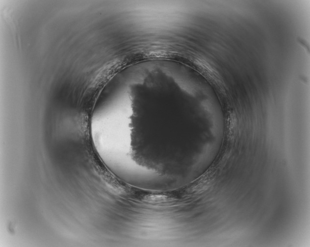 X0000100890361200807011202