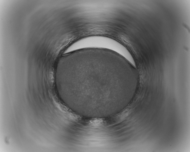 X0000100890362200807011202
