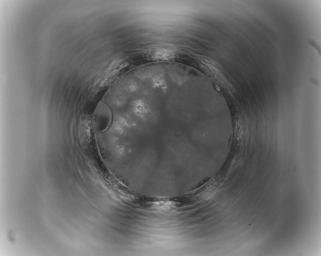X0000100890363200807011202