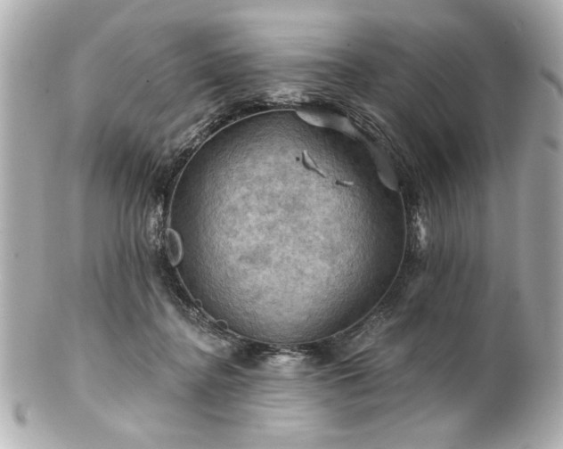 X0000100890364200807011202