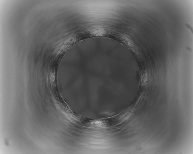 X0000100890365200807011202