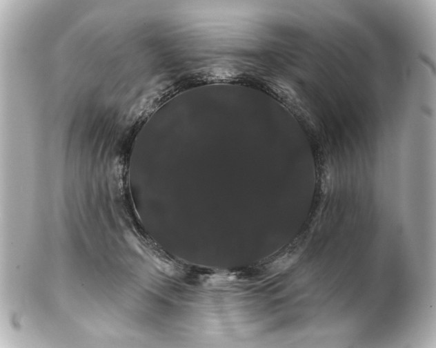 X0000100890366200807011202