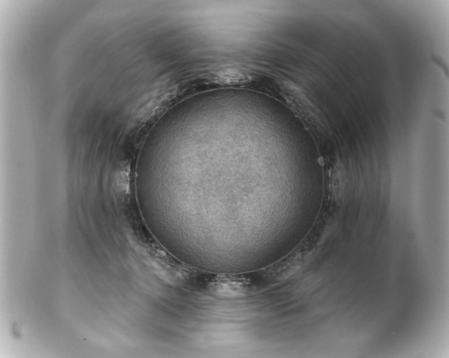 X0000100890368200807011202