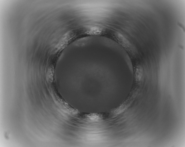 X0000100890370200807011202