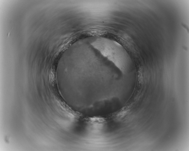 X0000100890371200807011202
