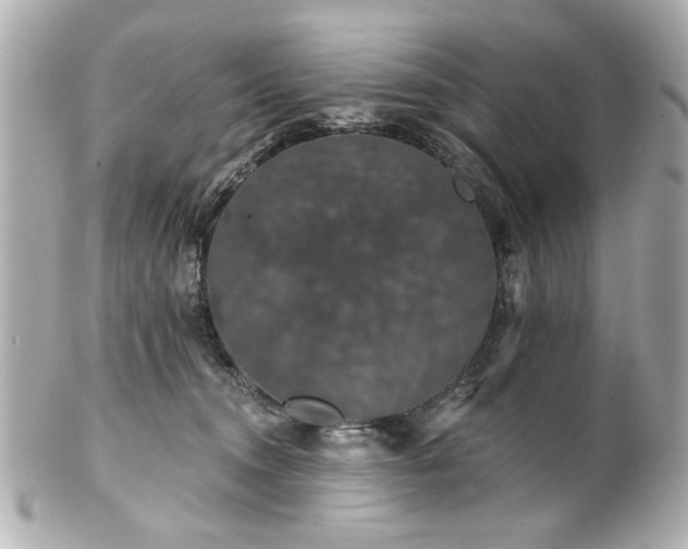 X0000100890372200807011202