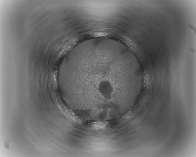 X0000100890373200807011202